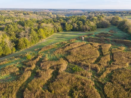 Scotland County, Missouri 196 Acres of Land for Sale with Cabin