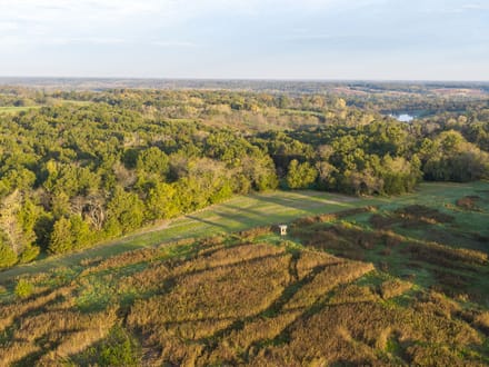 Scotland County, Missouri 196 Acres of Land for Sale with Cabin