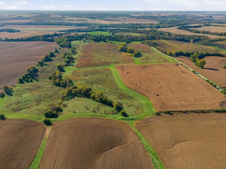 Mercer County, Illinois 80 Acres of Land for Sale with Home