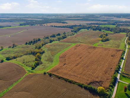 Mercer County, Illinois 80 Acres of Land for Sale with Home