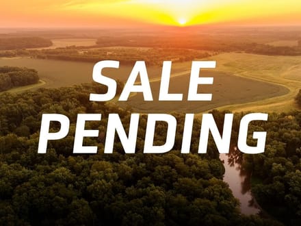 Morgan County, Illinois 39.38 Acres of Land for Sale 