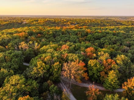 Davis County, Iowa 40 Acres of Land for Sale with Home