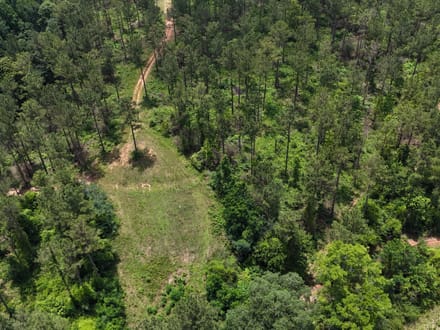 Pine Ridge 154