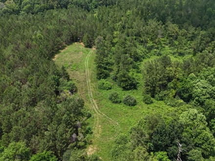 Pine Ridge 154