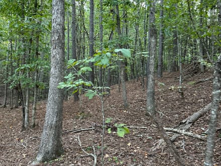 Lefever Road 