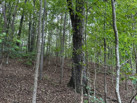 Lefever Road 