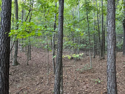 Lefever Road 