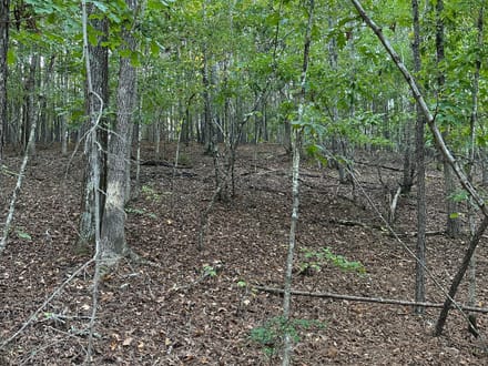 Lefever Road 