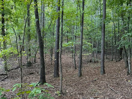 Lefever Road 