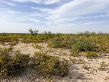 El Ciervo Ranch