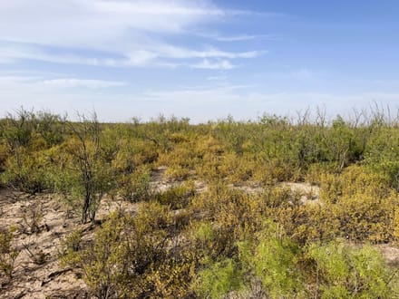 El Ciervo Ranch