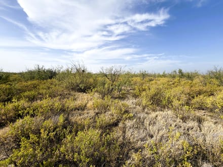 El Ciervo Ranch