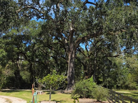 30 +/- acres Jefferson County - 4 miles north of I-10