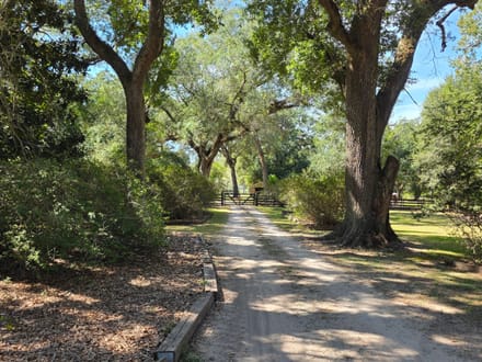 30 +/- acres Jefferson County - 4 miles north of I-10