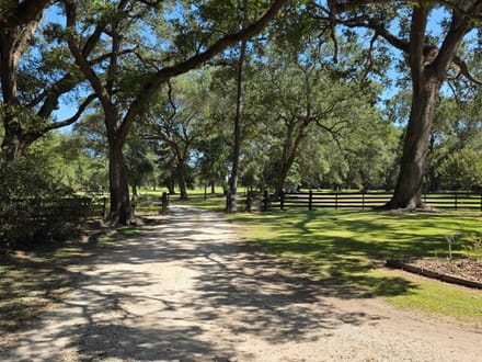 30 +/- acres Jefferson County - 4 miles north of I-10