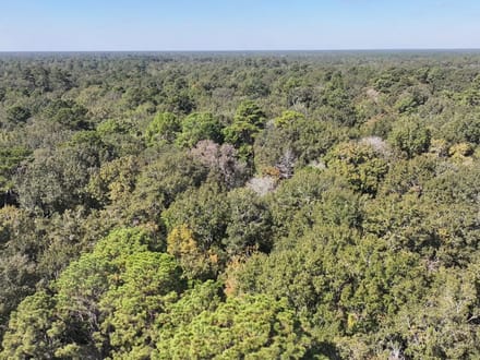 33 +/- Secluded Wooded Acres - Approx 15 miles from The Woodlands TX