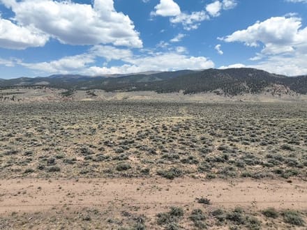 3.59 Acres in Twin Lakes Foothills | Gentle Topography & Solitude Lot 74