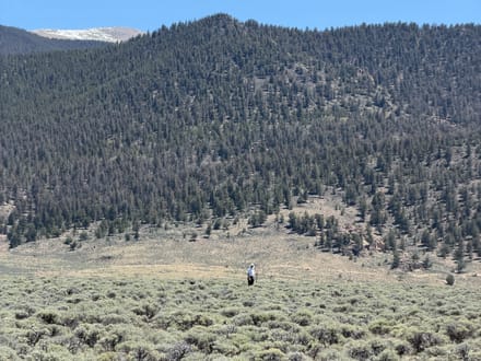 18.13± High-Alpine Acres with Panoramic Sawatch Views Above Twin Lakes Lot 71