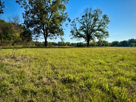 5 Acres Near Lake Raymond Gary | Fort Towson, Oklahoma