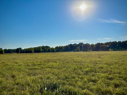 5 Acres Near Lake Raymond Gary | Fort Towson, Oklahoma