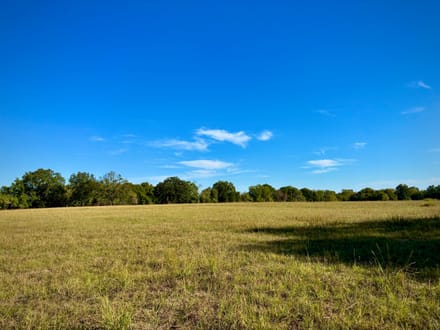 5 Acres Near Lake Raymond Gary | Fort Towson, Oklahoma
