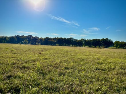 5 Acres Near Lake Raymond Gary | Fort Towson, Oklahoma