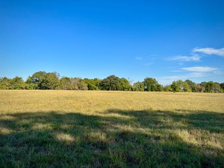 5 Country Acres with Scenic Views | Near Hugo Lake & Lake Raymond Gary