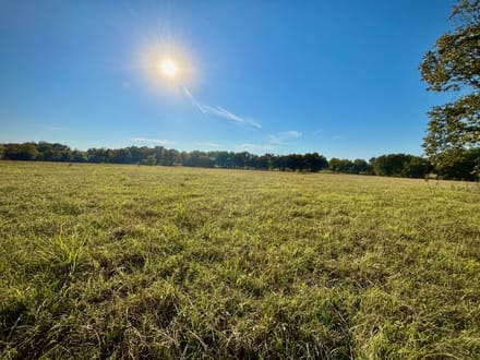 5 Country Acres with Scenic Views | Near Hugo Lake & Lake Raymond Gary