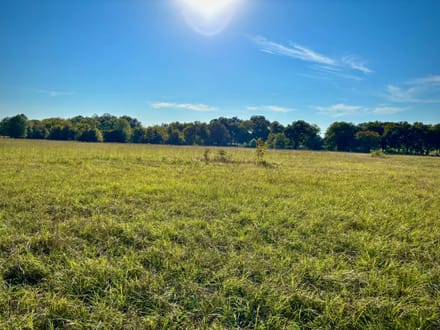 5 Country Acres with Scenic Views | Near Hugo Lake & Lake Raymond Gary