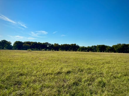 5 Country Acres with Scenic Views | Near Hugo Lake & Lake Raymond Gary