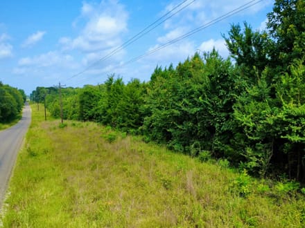20 Acres Near Valliant, OK | Pine Timber, Recreation & Homesite Potential