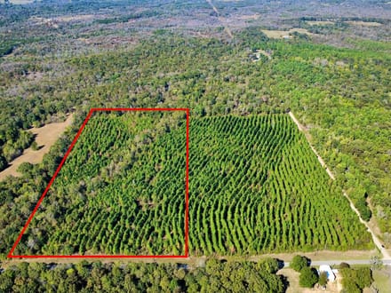 20 Acres Near Valliant, OK | Pine Timber, Recreation & Homesite Potential