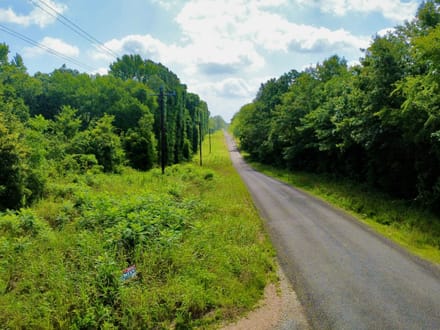 20 Acres of Growing Pines | Country Living & Timber Investment Near Valliant, OK