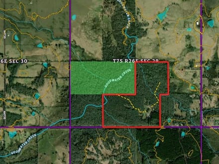 114 Acres with Goodwater Creek | Prime Hunting Land Bordering Ouachita WMA
