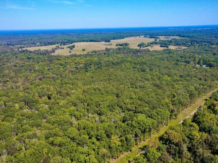 114 Acres with Goodwater Creek | Prime Hunting Land Bordering Ouachita WMA