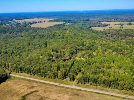 114 Acres with Goodwater Creek | Prime Hunting Land Bordering Ouachita WMA