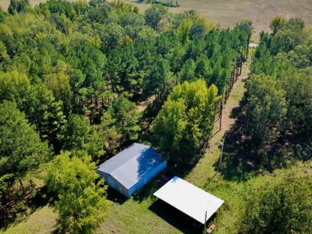 114 Acres with Goodwater Creek | Prime Hunting Land Bordering Ouachita WMA