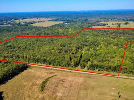 114 Acres with Goodwater Creek | Prime Hunting Land Bordering Ouachita WMA