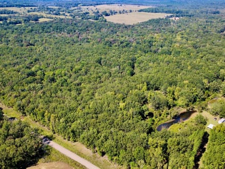 114 Acres with Goodwater Creek | Prime Hunting Land Bordering Ouachita WMA