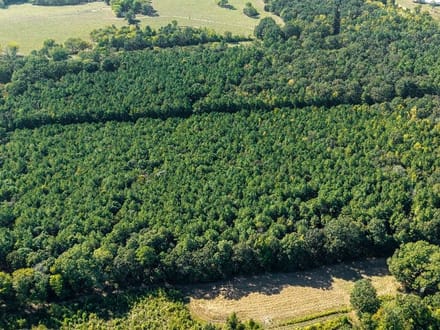 39 Acres in a Prime Location – Hunt, Build & Enjoy.