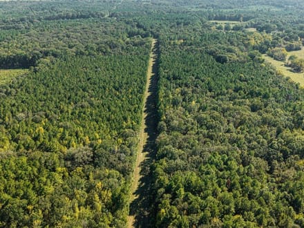 39 Acres in a Prime Location – Hunt, Build & Enjoy.