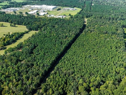 39 Acres in a Prime Location – Hunt, Build & Enjoy.