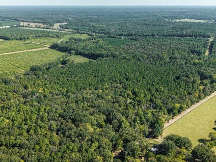 39 Acres in a Prime Location – Hunt, Build & Enjoy.