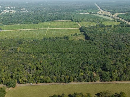 39 Acres in a Prime Location – Hunt, Build & Enjoy.