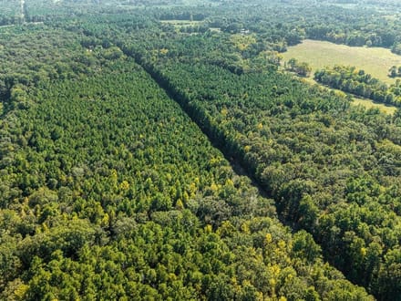 39 Acres in a Prime Location – Hunt, Build & Enjoy.