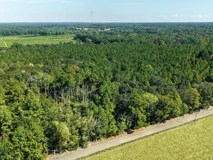 39 Acres in a Prime Location – Hunt, Build & Enjoy.