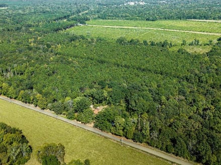 39 Acres in a Prime Location – Hunt, Build & Enjoy.