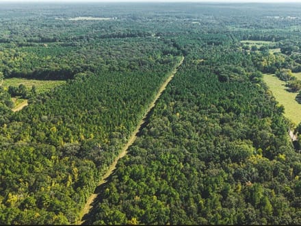 39 Acres in a Prime Location – Hunt, Build & Enjoy.