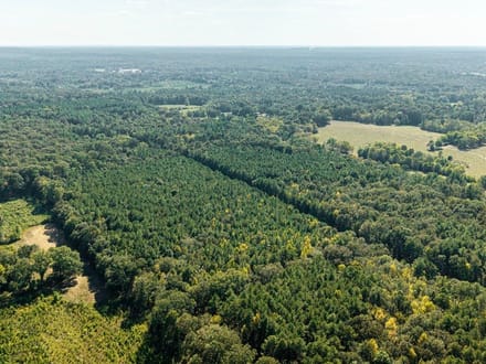39 Acres in a Prime Location – Hunt, Build & Enjoy.