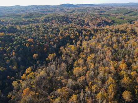 99.5 Acres in Henry County, Virginia | Development Opportunity, Hunting & Recreational Land | Four Tracts Available